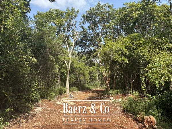 photo 26 A Private Yucatán Estate — A Life of Privacy, Nature and Independence