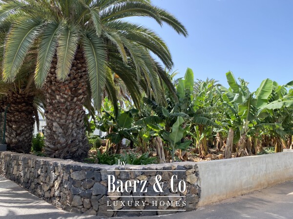 photo 48 Magnificent estate featuring family home and an organic banana plantation